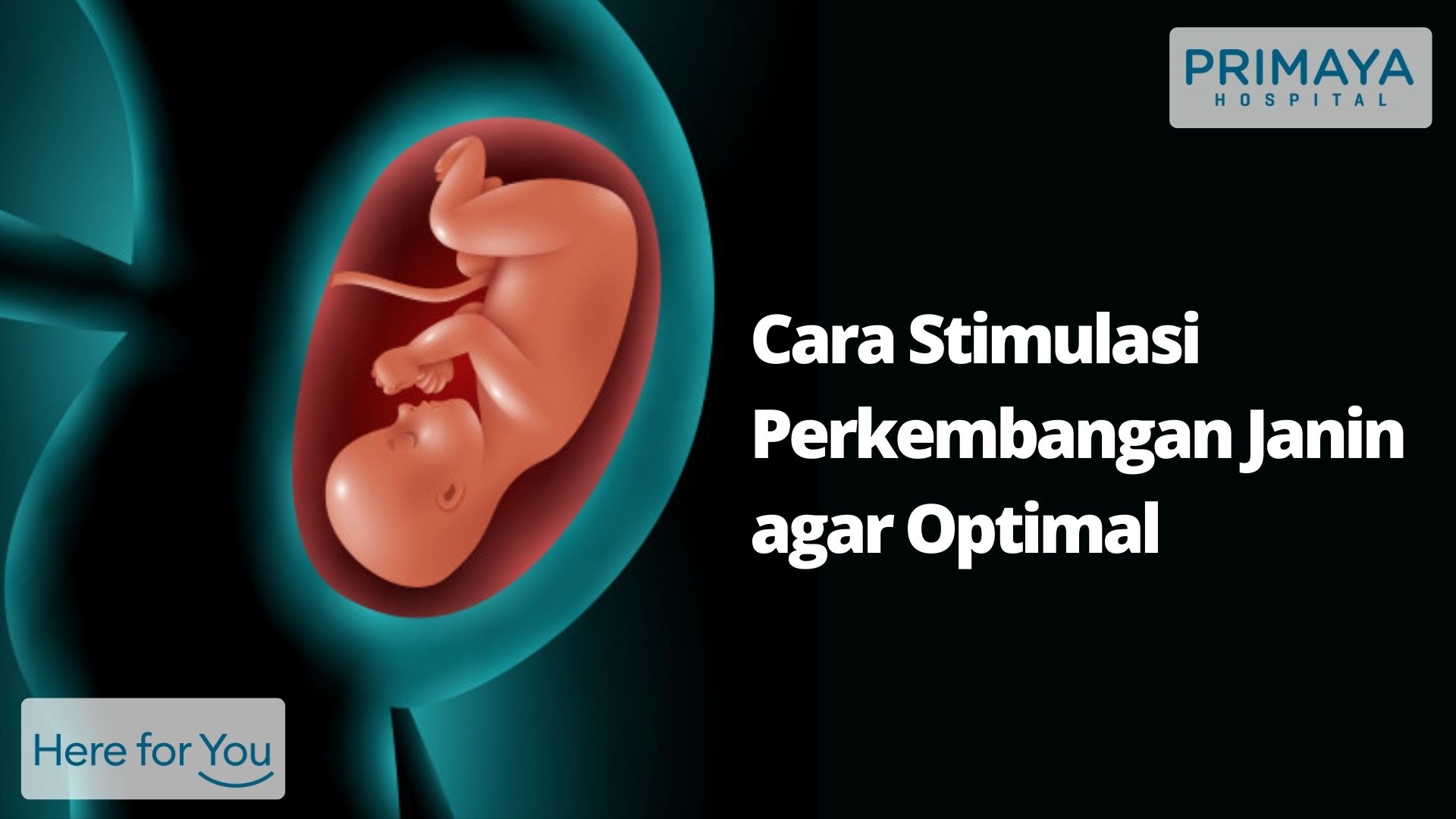 Cara Stimulasi Perkembangan Janin agar Optimal