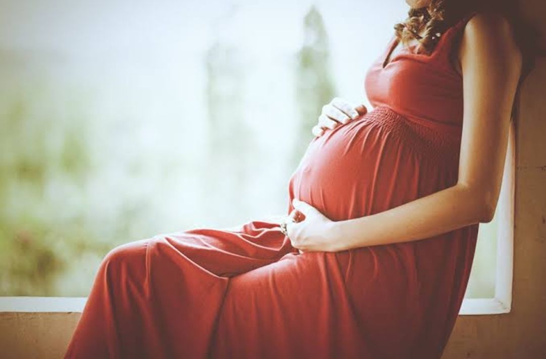 fertilisasi dan kehamilan
