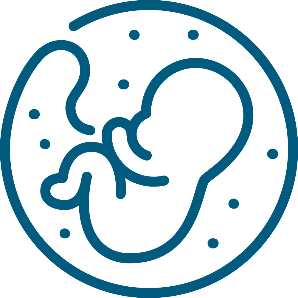 Kehamilan