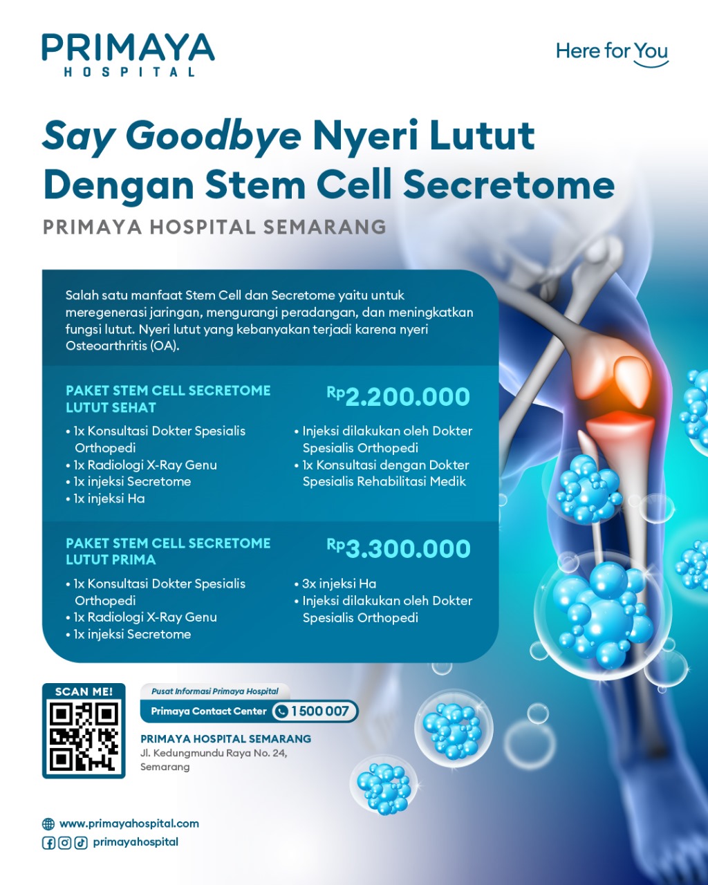 Stem Cell