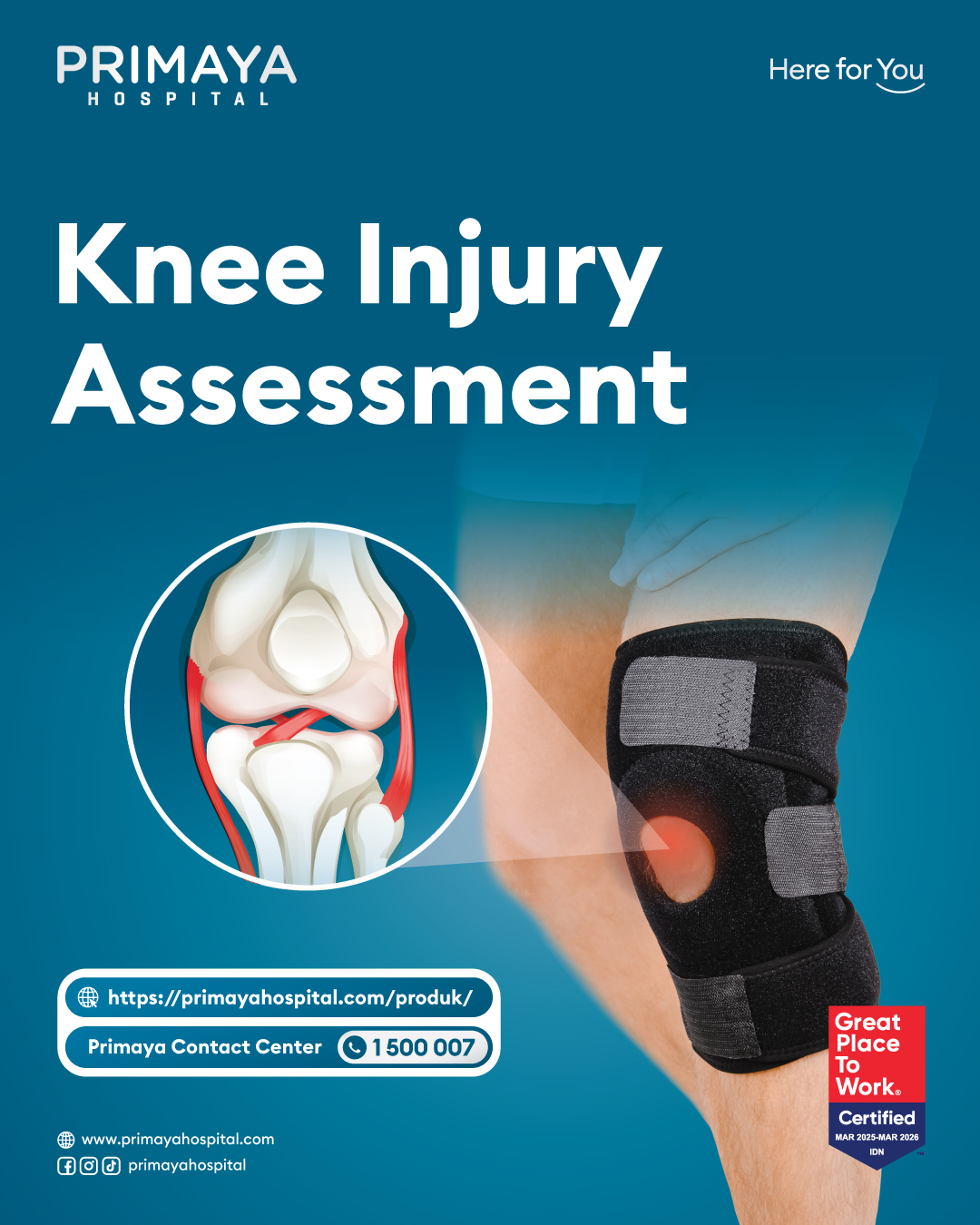 Knee Injury Assessment